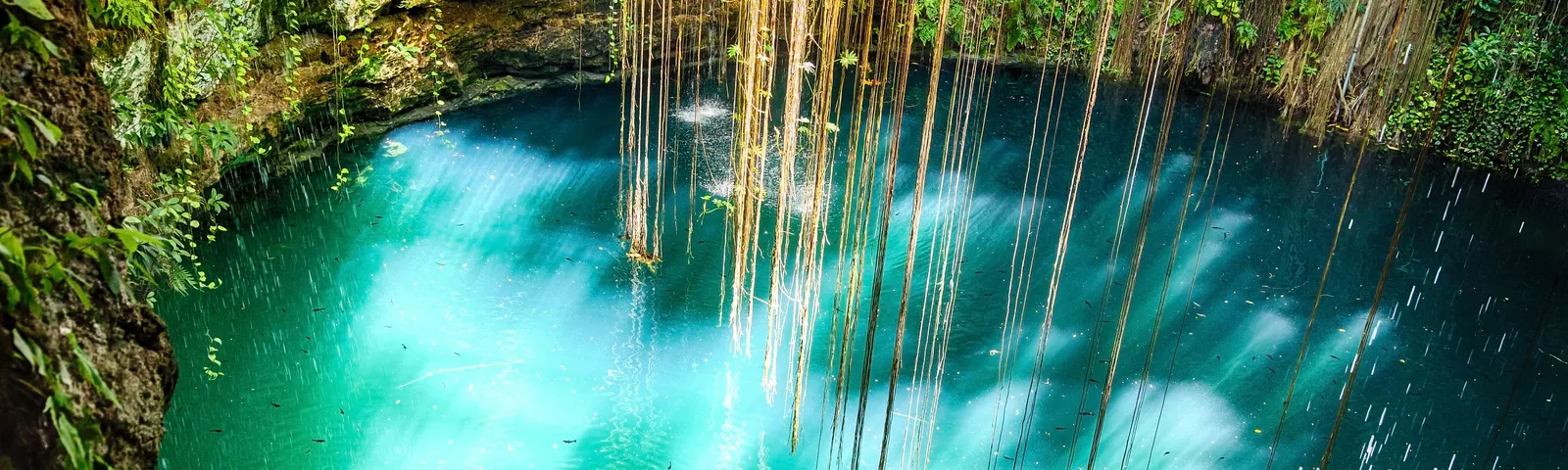 TinumTour Trong Ngày