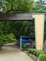 Зоопарк Чжоу Чжоу Тигр-Ки