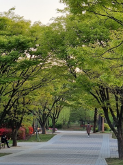 Bupyeong Park