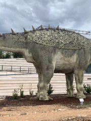 Museo de Paleontología de Castilla-La Mancha