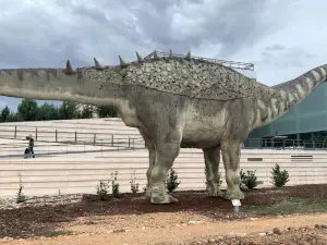 Museo de Paleontología de Castilla-La Mancha