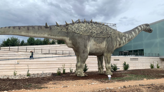 Museum de Paleontologia de Castilla-La Mancha