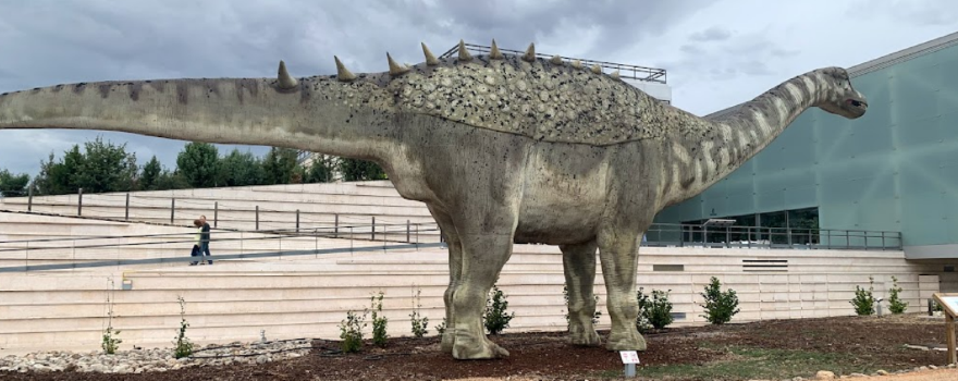Museum de Paleontologia de Castilla-La Mancha