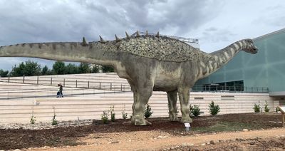 Museum de Paleontologia de Castilla-La Mancha