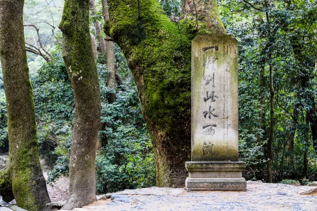 天台の4つ星ホテル