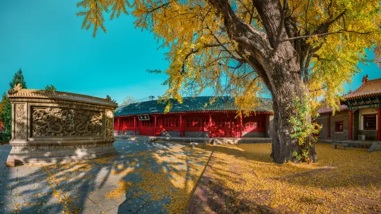 Linyi Kong Temple