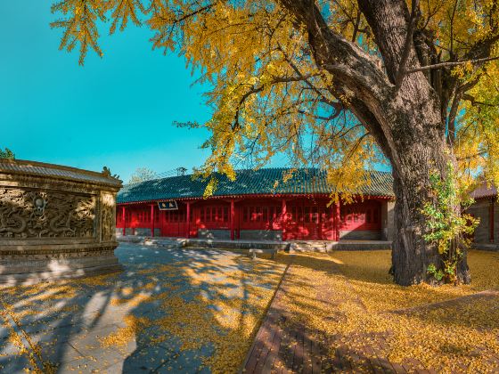 Linyi Kong Temple