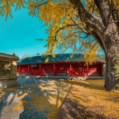 Отели с услугой парковкой в г. Цзиньсян