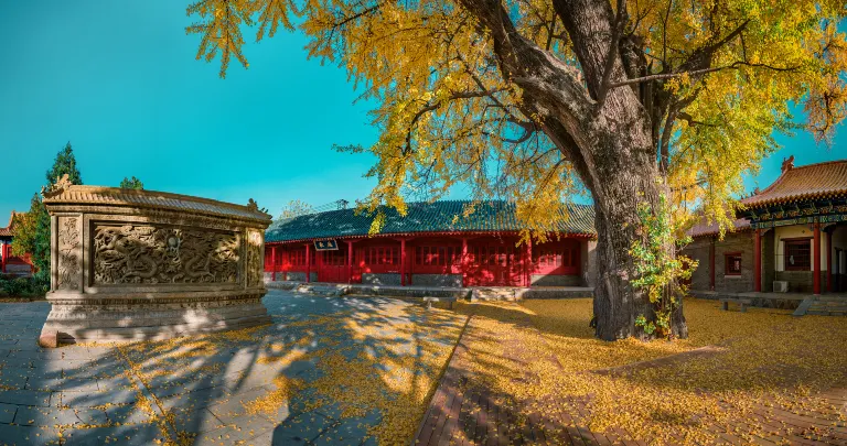 Romantic Hotels in Linyi