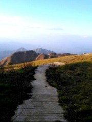 Feishuizhai Southern Tianshan Prairie