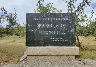 Dingling Cemetery of the Tang Dynasty