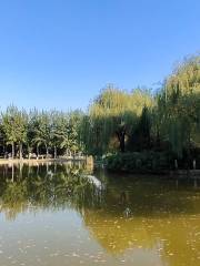 Ganhe Park