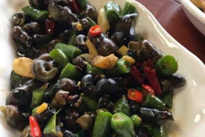 Guanlan Mountain Villa