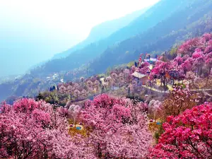 Jiuhuangshan