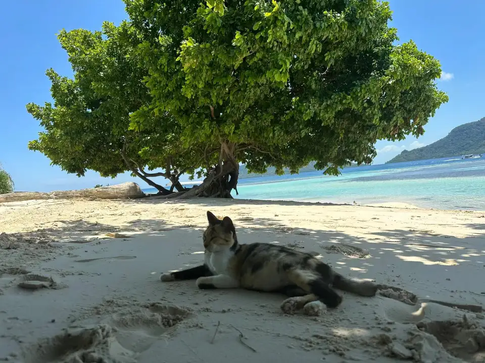 5_Pulau Mantabuan