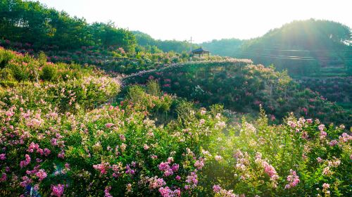 Sijihuahai Zhonghua Garden Scenic District