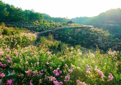 英山四季花海景区