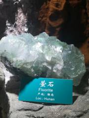 Heilongjiang Geological Museum