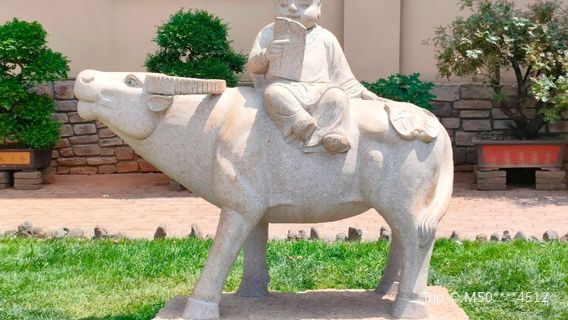 Xuanwei Peony Garden
