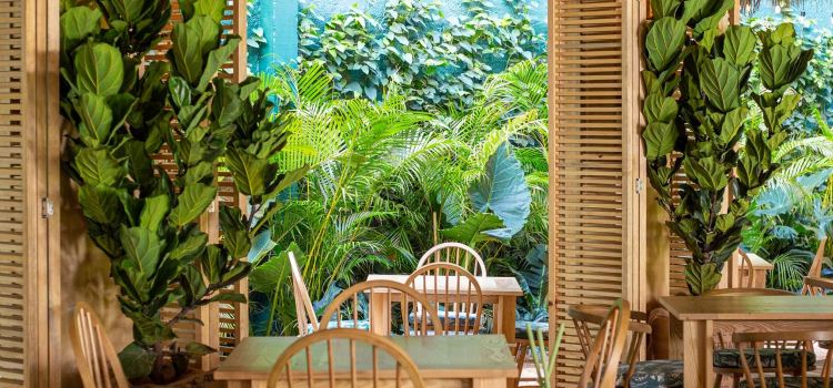 Palapa Cantina Caribeña