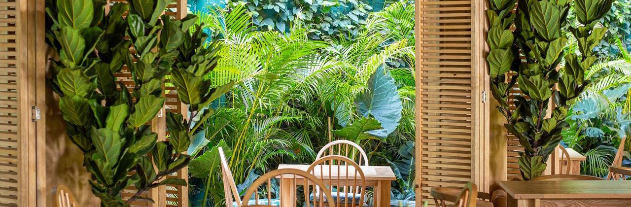 Palapa Cantina Caribeña