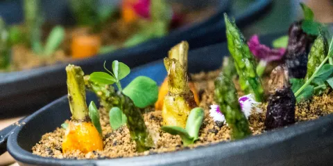 Orfebre - JW Marriott Monterrey Valle