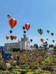 Zigong Flower Sea