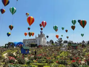 Zigong Flower Sea