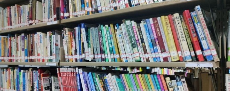 Dongguan Library (wangniudunfenguan)