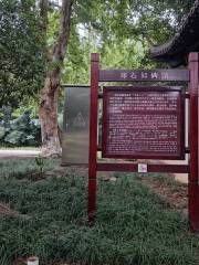 Deng Shiru Stele Museum