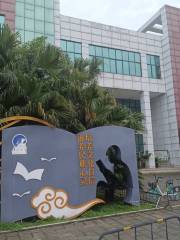 Jiangyou Library