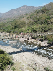 Puente Arcediano