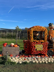 Bächlihof, Jucker Farm AG