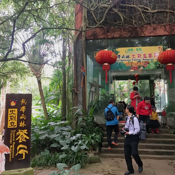 海南野生動植物園熱帶雨林火烈鳥餐廳