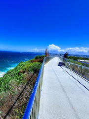 Strzelecki Scenic Lookout