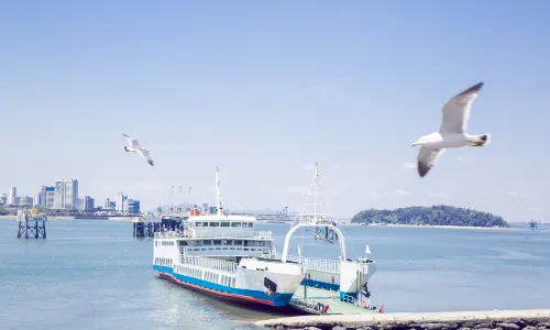 Sightseeing Boats in Incheon