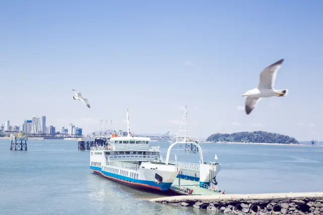 Sightseeing Boats in Incheon
