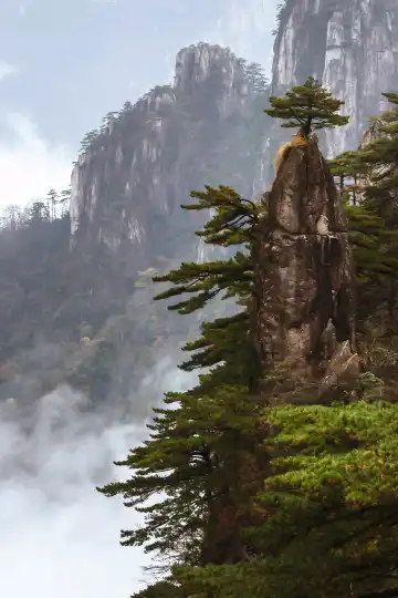 鄰近九龍峯-夢筆生花的酒店