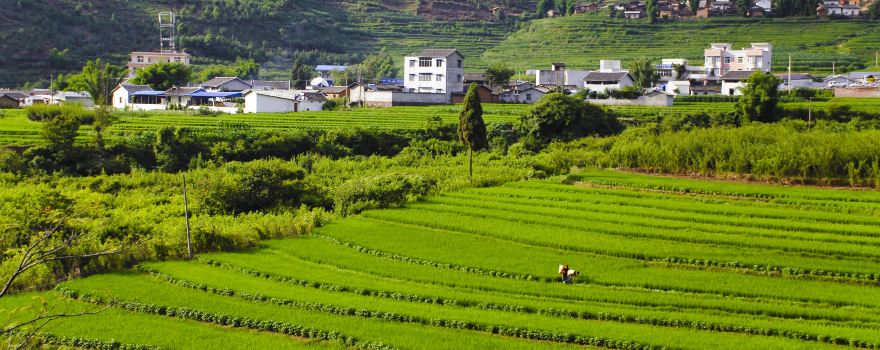 Lianhe Terraced field