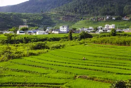 Lianhe Terraced field