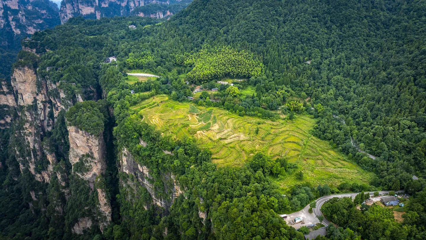 Best Time to Visit Avatar Mountains China