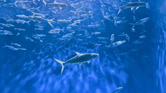 마닐라 오션파크