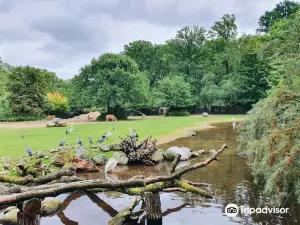 Cottbus Zoo