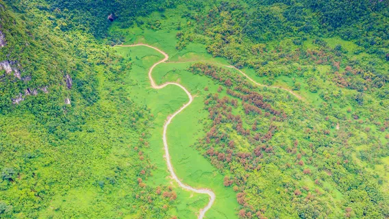 Пинчэнь Тяньцзянь Пикэнь Цзян Цз