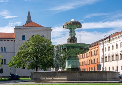 Ludwig Maximilian University of Munich