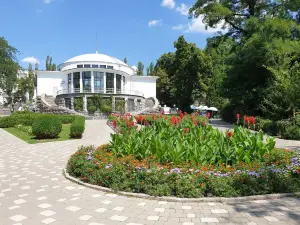 A.V. Fomin Botanical Garden