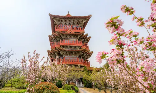 Millennium City Park