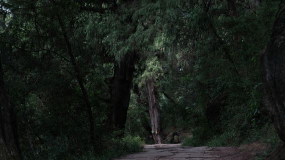 Ancient Shu Road before Qin Dynasty