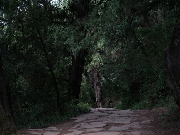 Ancient Shu Road before Qin Dynasty