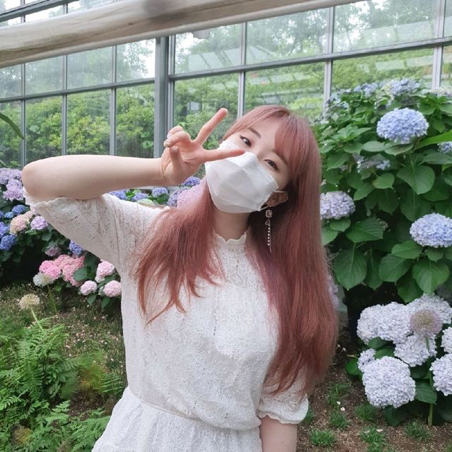 수국이 가득한 카멜리아 힐